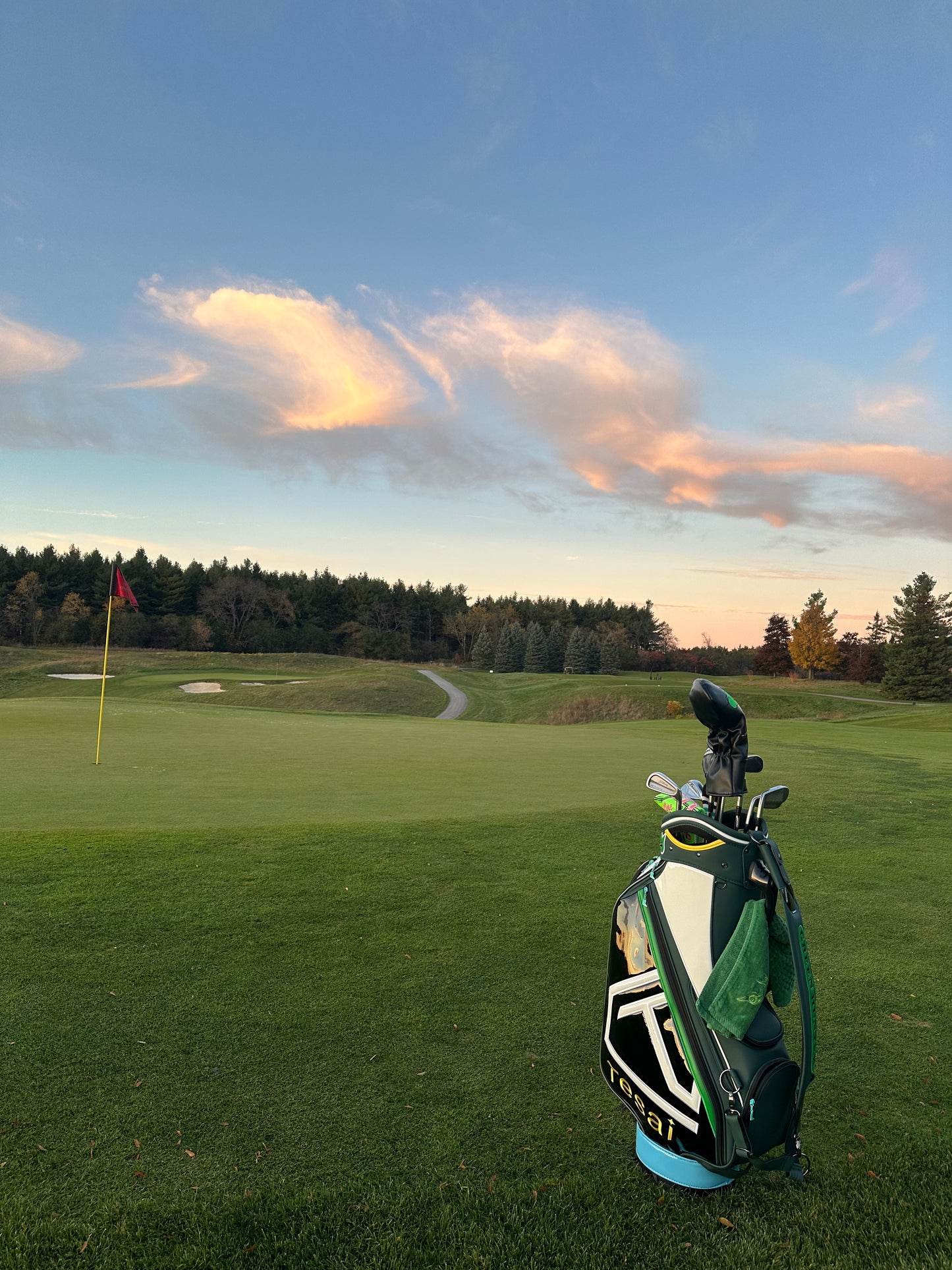 TESAI Signature Tour Bag—Verdant Bird