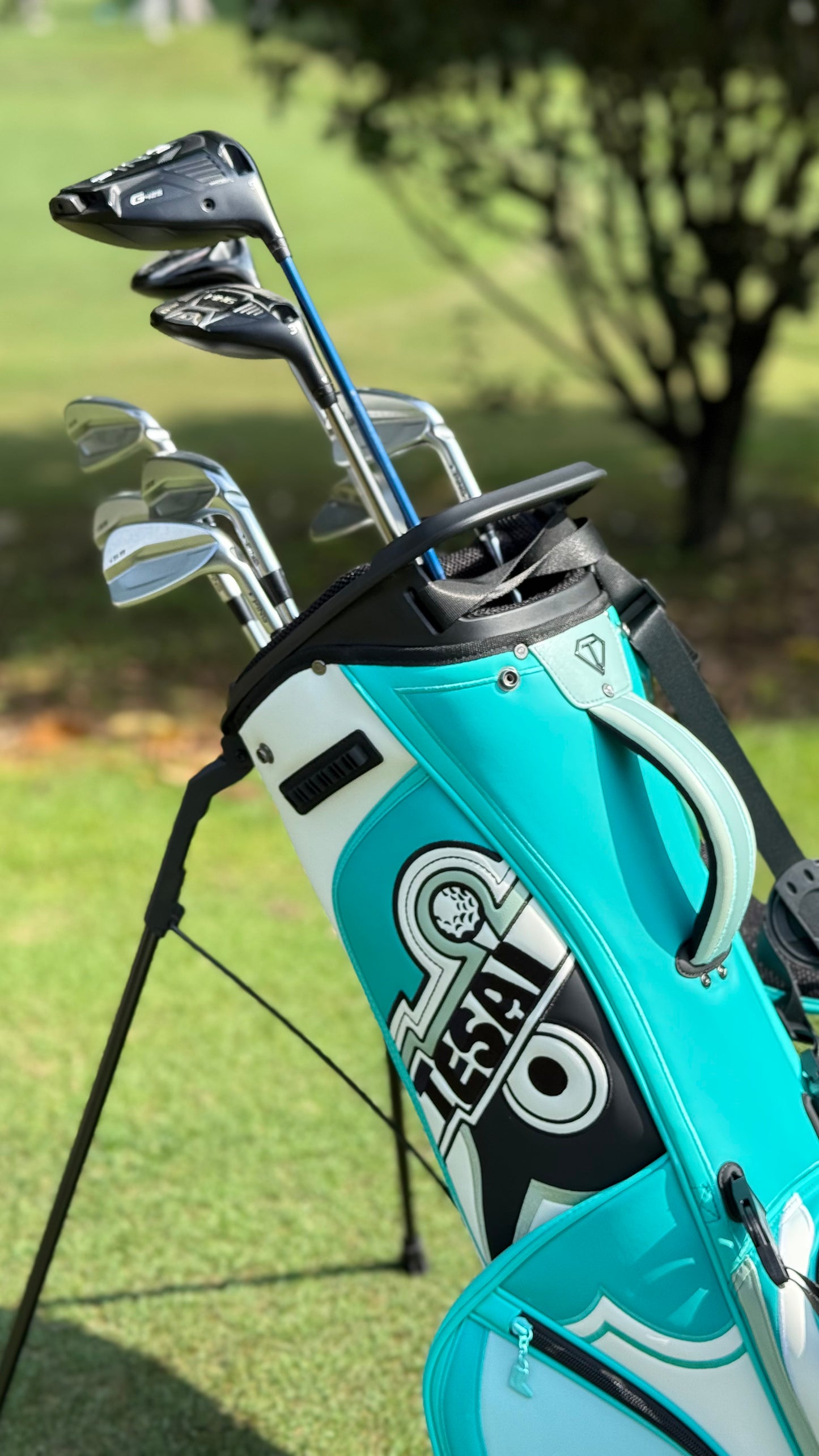 TESAI Signature Stand Bag—Aqua Celeste